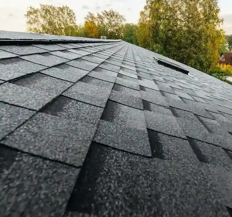 Shingle Roofing